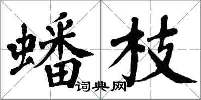 翁闓運蟠枝楷書怎么寫