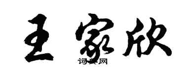 胡問遂王家欣行書個性簽名怎么寫