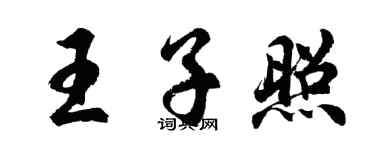 胡問遂王子照行書個性簽名怎么寫