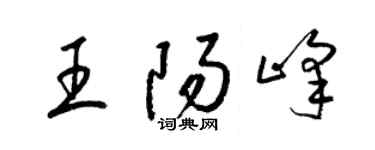 梁錦英王陽峰草書個性簽名怎么寫