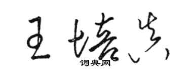 駱恆光王培真草書個性簽名怎么寫