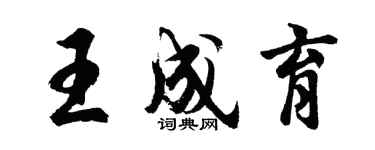 胡問遂王成育行書個性簽名怎么寫