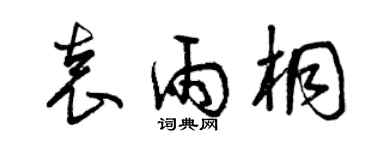 曾慶福袁雨桐草書個性簽名怎么寫