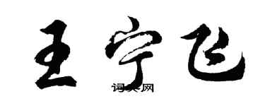 胡問遂王寧飛行書個性簽名怎么寫