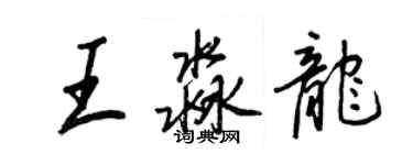 王正良王淼龍行書個性簽名怎么寫