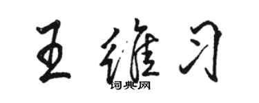 駱恆光王維習行書個性簽名怎么寫