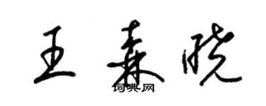 梁錦英王森曉草書個性簽名怎么寫