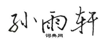 駱恆光孫雨軒行書個性簽名怎么寫