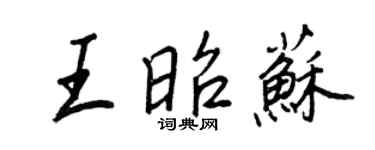王正良王昭蘇行書個性簽名怎么寫