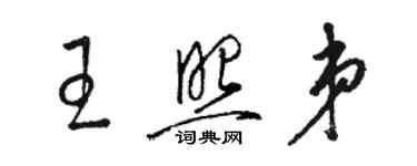 駱恆光王照弟草書個性簽名怎么寫