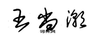 朱錫榮王尚潮草書個性簽名怎么寫