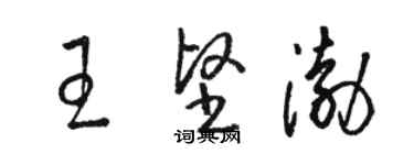 駱恆光王堅渤草書個性簽名怎么寫