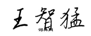 王正良王智猛行書個性簽名怎么寫