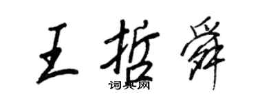 王正良王哲舜行書個性簽名怎么寫