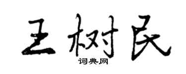 曾慶福王樹民行書個性簽名怎么寫