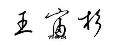 梁錦英王富杉草書個性簽名怎么寫