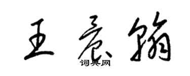 梁錦英王晨翰草書個性簽名怎么寫