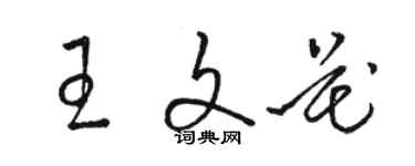 駱恆光王文花草書個性簽名怎么寫