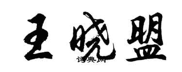 胡問遂王曉盟行書個性簽名怎么寫