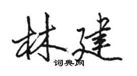 駱恆光林建行書個性簽名怎么寫
