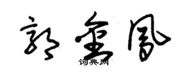 朱錫榮郭金鳳草書個性簽名怎么寫
