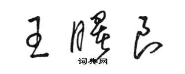 駱恆光王曙良草書個性簽名怎么寫