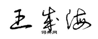 曾慶福王成海草書個性簽名怎么寫