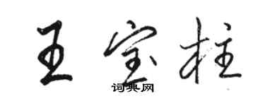 駱恆光王寶柱行書個性簽名怎么寫