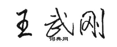 駱恆光王武剛行書個性簽名怎么寫