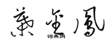 駱恆光葉金鳳草書個性簽名怎么寫