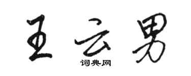 駱恆光王雲男行書個性簽名怎么寫