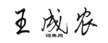 駱恆光王成農行書個性簽名怎么寫