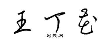 梁錦英王丁花草書個性簽名怎么寫