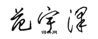 駱恆光范宇澤草書個性簽名怎么寫