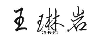 駱恆光王琳岩行書個性簽名怎么寫