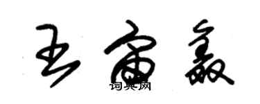 朱錫榮王宙鑫草書個性簽名怎么寫