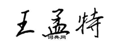 王正良王孟特行書個性簽名怎么寫