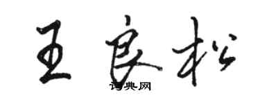 駱恆光王良松行書個性簽名怎么寫