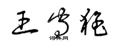 曾慶福王守猛草書個性簽名怎么寫