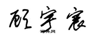 朱錫榮顧宇宸草書個性簽名怎么寫