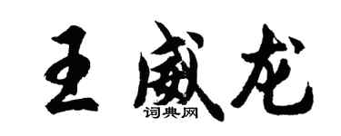胡問遂王威龍行書個性簽名怎么寫
