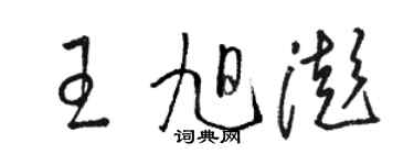 駱恆光王旭澎草書個性簽名怎么寫