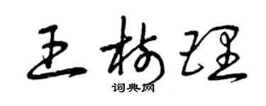 曾慶福王樹理草書個性簽名怎么寫