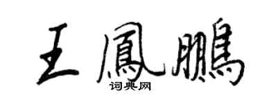 王正良王鳳鵬行書個性簽名怎么寫