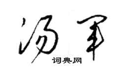 梁錦英湯軍草書個性簽名怎么寫