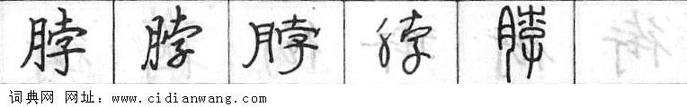 鋼筆字典
