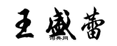 胡問遂王盛蕾行書個性簽名怎么寫