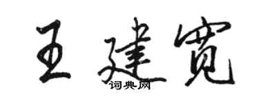 駱恆光王建寬行書個性簽名怎么寫