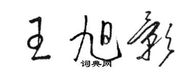 駱恆光王旭影草書個性簽名怎么寫