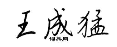 王正良王成猛行書個性簽名怎么寫